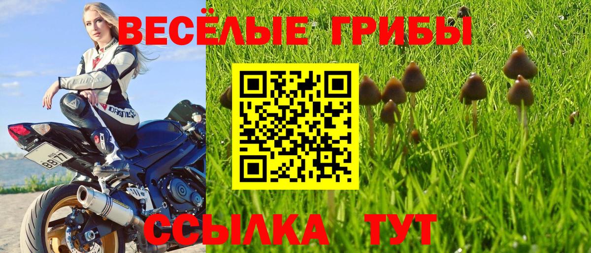 Псилоцибиновые грибы ЛСД  Галлюциногенные грибы ЛСД  Краснознаменск  Вход с VPN 